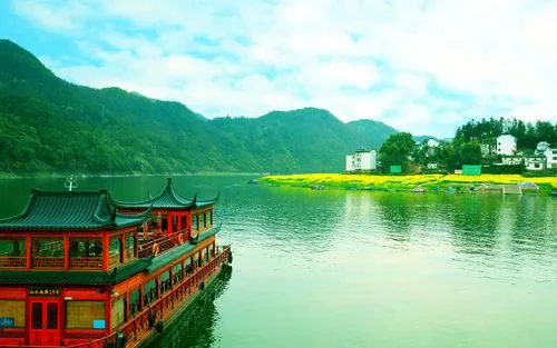 高端高端智能化